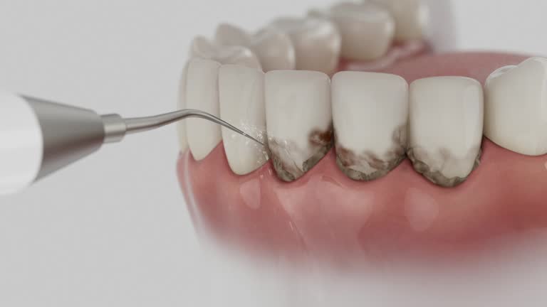Reliable Dental contractor in Parkland, FL by Dentist Open Now